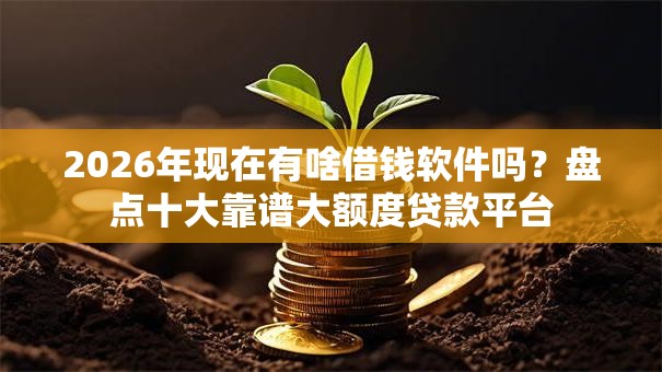 2026年现在有啥借钱软件吗？盘点十大靠谱大额度贷款平台