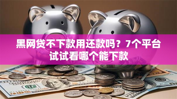 黑网贷不下款用还款吗？7个平台试试看哪个能下款