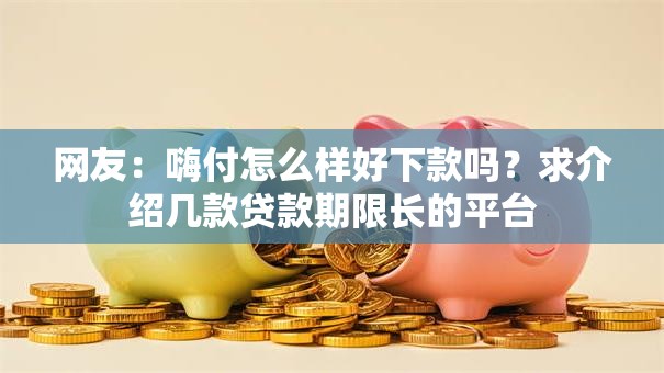 网友：嗨付怎么样好下款吗？求介绍几款贷款期限长的平台
