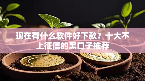 现在有什么软件好下款?十大不上征信的黑口子推荐 现在有什么软件好下款?十大不上征信的黑口子推荐