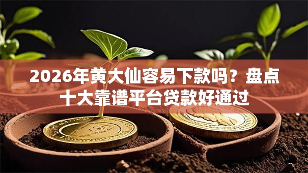 2026年黄大仙容易下款吗？盘点十大靠谱平台贷款好通过