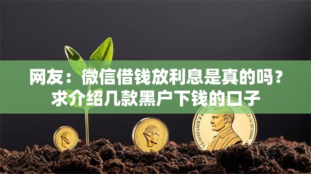 网友：微信借钱放利息是真的吗？求介绍几款黑户下钱的口子