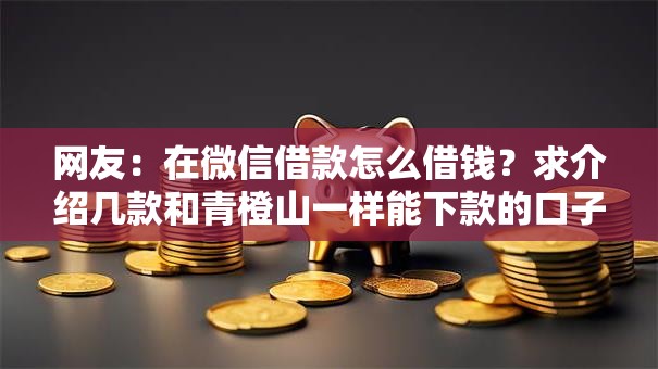 网友：在微信借款怎么借钱？求介绍几款和青橙山一样能下款的口子