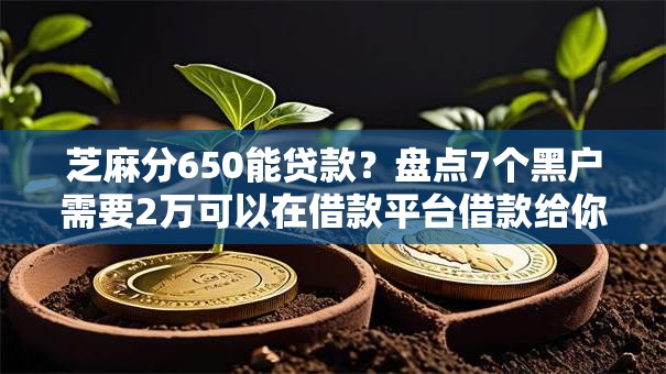 芝麻分650能贷款？盘点7个黑户需要2万可以在借款平台借款给你参考