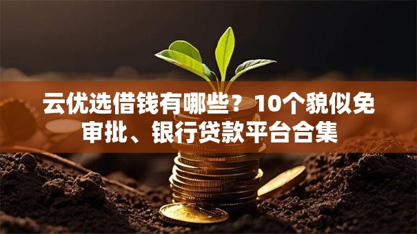 云优选借钱有哪些？10个貌似免审批、银行贷款平台合集