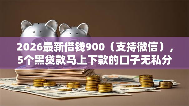 2026最新借钱900（支持微信），5个黑贷款马上下款的口子无私分享