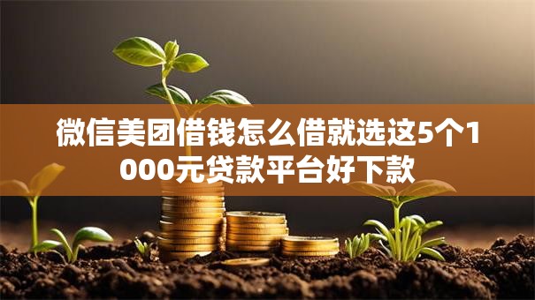 微信美团借钱怎么借就选这5个1000元贷款平台好下款