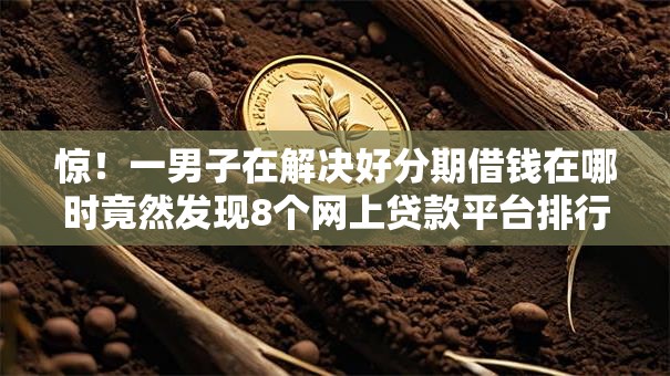 惊！一男子在解决好分期借钱在哪时竟然发现8个网上贷款平台排行榜，事后分享了出来