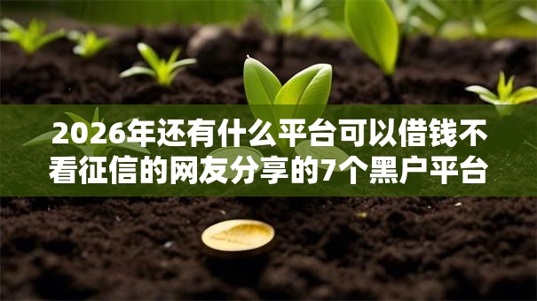 2026年还有什么平台可以借钱不看征信的网友分享的7个黑户平台至少可以借三万那种我觉得不错！
