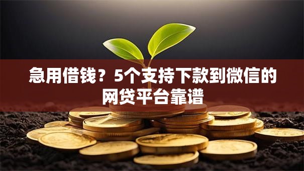 急用借钱？5个支持下款到微信的网贷平台靠谱