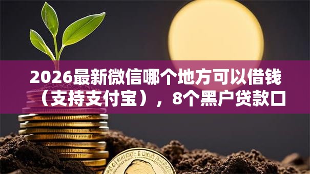 2026最新微信哪个地方可以借钱（支持支付宝），8个黑户贷款口子秒下的无私分享