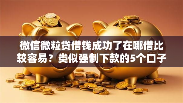 微信微粒贷借钱成功了在哪借比较容易?类似强制下款的5个口子参考 微信微粒贷借钱成功了在哪借比较容易?类似强制下款的5个口子参考