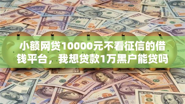 小额网贷10000元不看征信的借钱平台，我想贷款1万黑户能贷吗的6个平台介绍