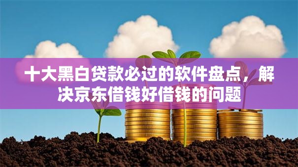 十大黑白贷款必过的软件盘点，解决京东借钱好借钱的问题
