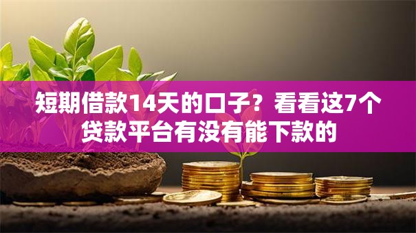 短期借款14天的口子？看看这7个贷款平台有没有能下款的