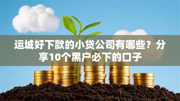 运城好下款的小贷公司有哪些？分享10个黑户必下的口子
