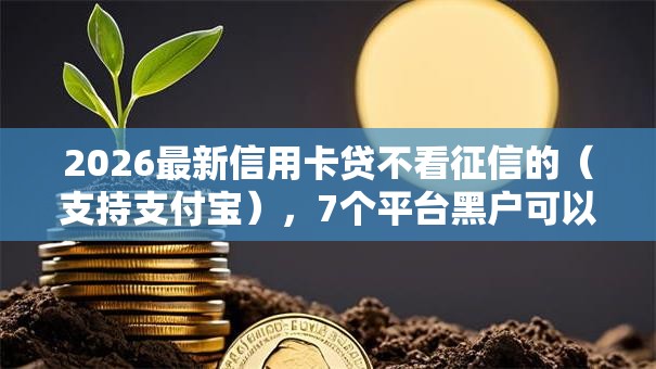 2026最新信用卡贷不看征信的（支持支付宝），7个平台黑户可以借到钱呢无私分享