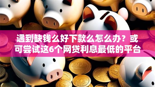 遇到缺钱么好下款么怎么办？或可尝试这6个网贷利息最低的平台