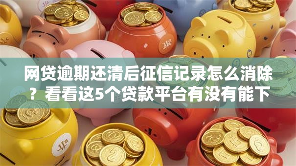 网贷逾期还清后征信记录怎么消除？看看这5个贷款平台有没有能下款的