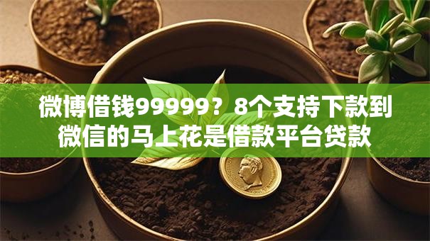 微博借钱99999?8个支持下款到微信的马上花是借款平台贷款 微博借钱99999?8个支持下款到微信的马上花是借款平台贷款