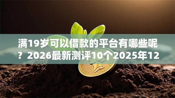 满19岁可以借款的平台有哪些呢？2026最新测评10个2025年12月放水口子