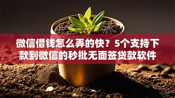 微信借钱怎么弄的快?5个支持下款到微信的秒批无面签贷款软件 微信借钱怎么弄的快?5个支持下款到微信的秒批无面签贷款软件