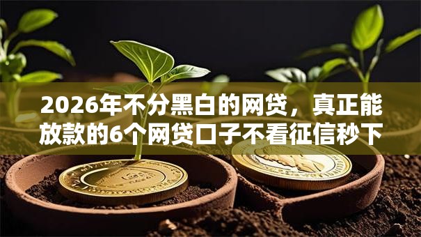 2026年不分黑白的网贷，真正能放款的6个网贷口子不看征信秒下款的平台推荐