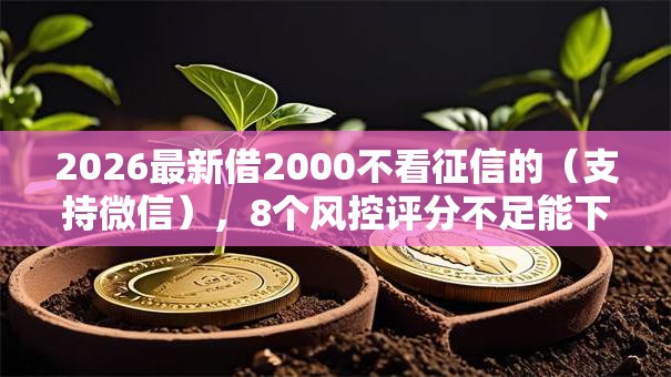 2026最新借2000不看征信的（支持微信），8个风控评分不足能下款的平台无私分享