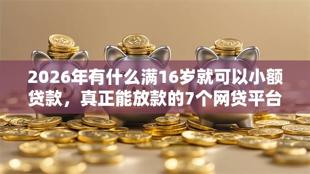 2026年有什么满16岁就可以小额贷款，真正能放款的7个网贷平台有那些推荐