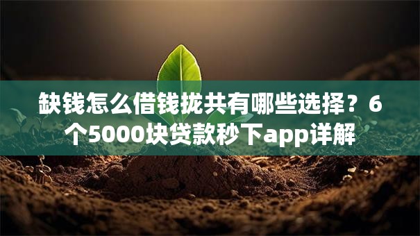缺钱怎么借钱拢共有哪些选择？6个5000块贷款秒下app详解