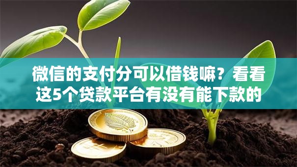 微信的支付分可以借钱嘛?看看这5个贷款平台有没有能下款的 微信的支付分可以借钱嘛?看看这5个贷款平台有没有能下款的