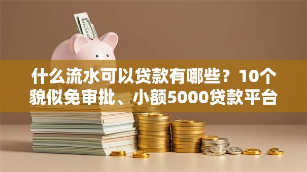 什么流水可以贷款有哪些?10个貌似免审批、小额5000贷款平台合集 什么流水可以贷款有哪些?10个貌似免审批、小额5000贷款平台合集