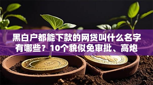 黑白户都能下款的网贷叫什么名字有哪些？10个貌似免审批、高炮能下款的平台合集
