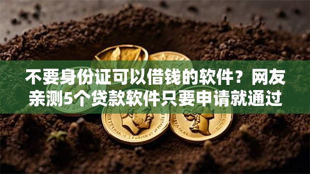 不要身份证可以借钱的软件？网友亲测5个贷款软件只要申请就通过盘点