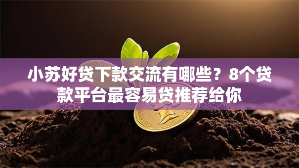 小苏好贷下款交流有哪些?8个贷款平台最容易贷推荐给你 小苏好贷下款交流有哪些?8个贷款平台最容易贷推荐给你