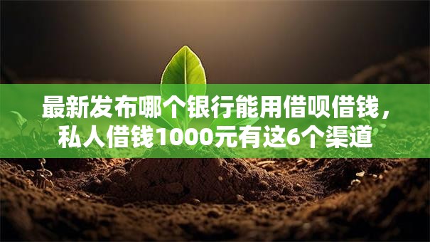 最新发布哪个银行能用借呗借钱，私人借钱1000元有这6个渠道