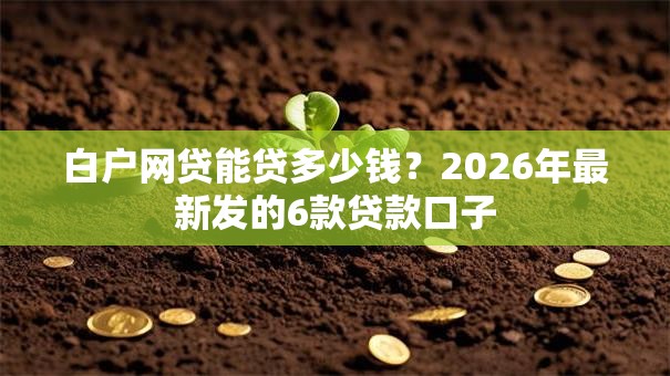 白户网贷能贷多少钱?2026年最新发的6款贷款口子 白户网贷能贷多少钱?2026年最新发的6款贷款口子