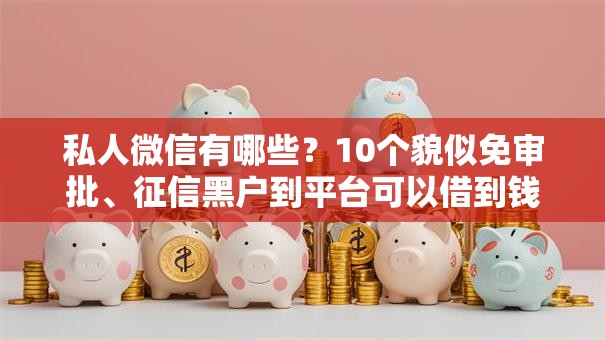 私人微信有哪些？10个貌似免审批、征信黑户到平台可以借到钱合集