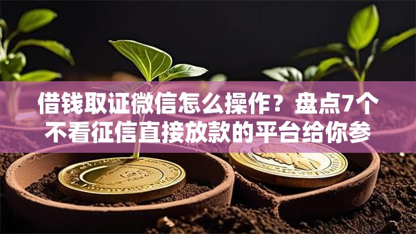 借钱取证微信怎么操作？盘点7个不看征信直接放款的平台给你参考