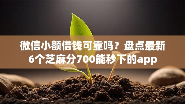 微信小额借钱可靠吗？盘点最新6个芝麻分700能秒下的app