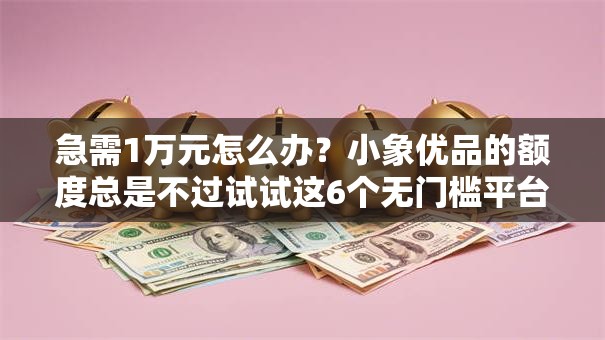 急需1万元怎么办？小象优品的额度总是不过试试这6个无门槛平台