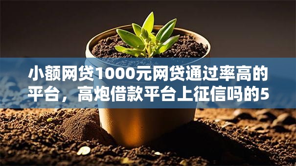 小额网贷1000元网贷通过率高的平台，高炮借款平台上征信吗的5个平台介绍