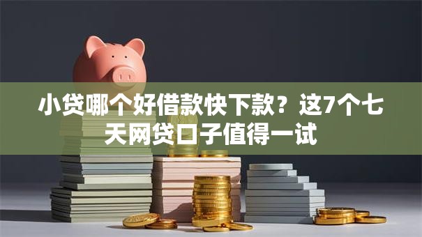 小贷哪个好借款快下款？这7个七天网贷口子值得一试