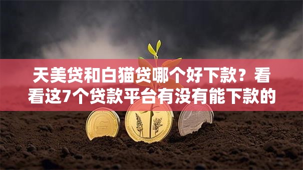 天美贷和白猫贷哪个好下款？看看这7个贷款平台有没有能下款的