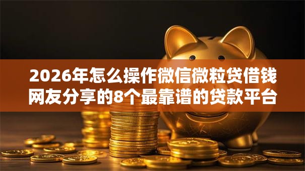 2026年怎么操作微信微粒贷借钱网友分享的8个最靠谱的贷款平台我觉得不错！