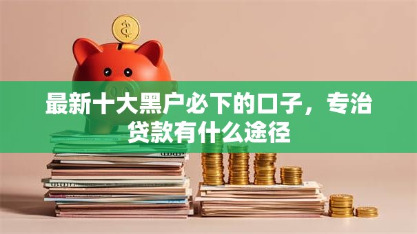 最新十大黑户必下的口子，专治贷款有什么途径