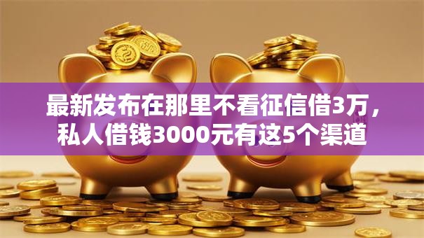 最新发布在那里不看征信借3万，私人借钱3000元有这5个渠道