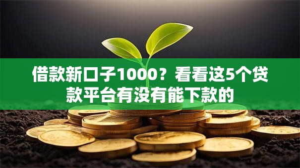 借款新口子1000？看看这5个贷款平台有没有能下款的