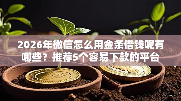 2026年微信怎么用金条借钱呢有哪些？推荐5个容易下款的平台