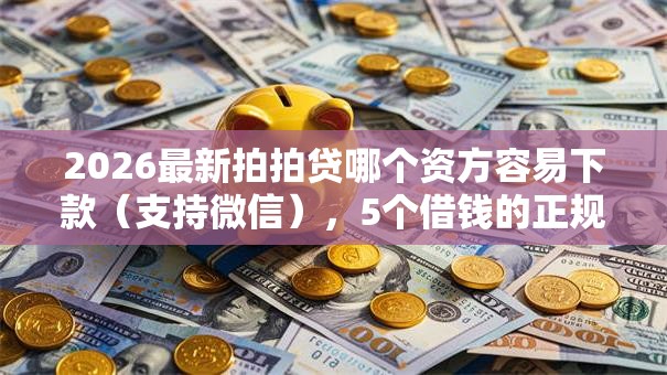 2026最新拍拍贷哪个资方容易下款（支持微信），5个借钱的正规平台无私分享